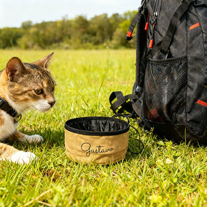 Ciotola pieghevole per amici pelosi