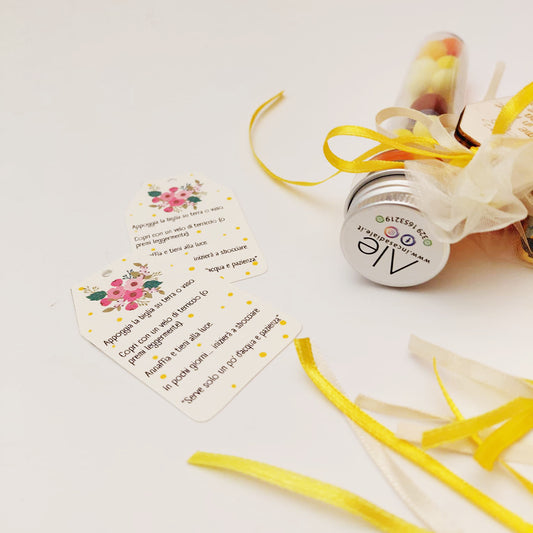 Cartoncini istruzioni e confezione del set provetta, pensierino originale per la Festa della Donna