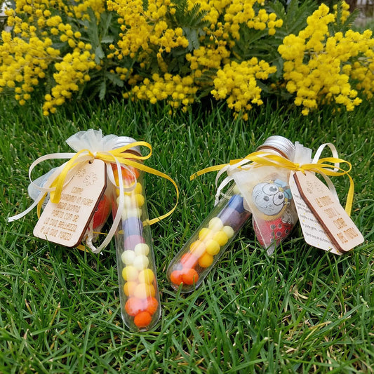 Due provette regalo per Festa della Donna su prato con mimosa sullo sfondo, confezione con tag in legno